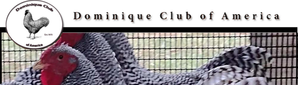 Dominique Club of America